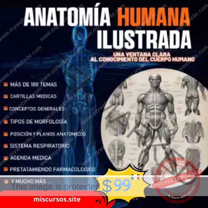 Anatomía Humana Ilustrada